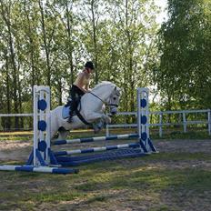 Connemara Nygaards Pirre