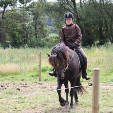 Islænder Fantur -Drømme-hesten-Savnet :'(