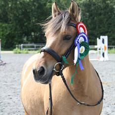 Anden særlig race Isabella<3