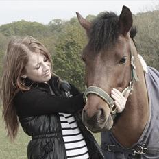 New Forest Lundgaards Kahlua - solgt :'(