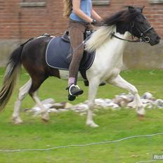 Anden særlig race Czami<3