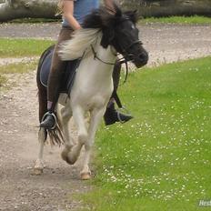Anden særlig race Czami<3