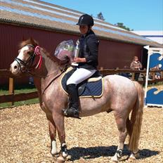 Anden særlig race Mario