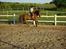 Dansk Varmblod Gangster R - Træning uden sadel d. 27/6 2011 - Galop <3