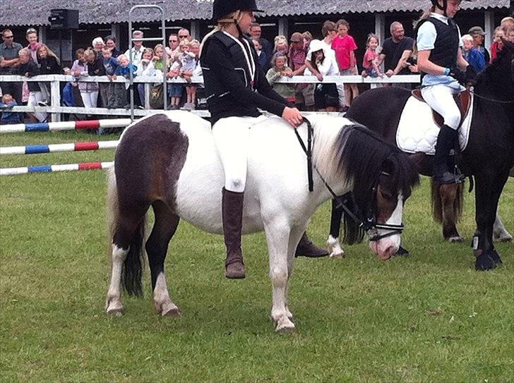 Anden særlig race Plet...<33 - 1. Plads   jjuuuuuuuuuubbiiiii billede 5