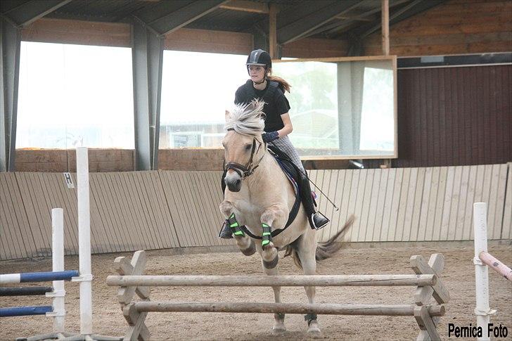 Fjordhest Aslaug *STJERNE* - Springundervisning 65 cm JUNI 2011 *Foto: Pernica/Pernille* billede 12