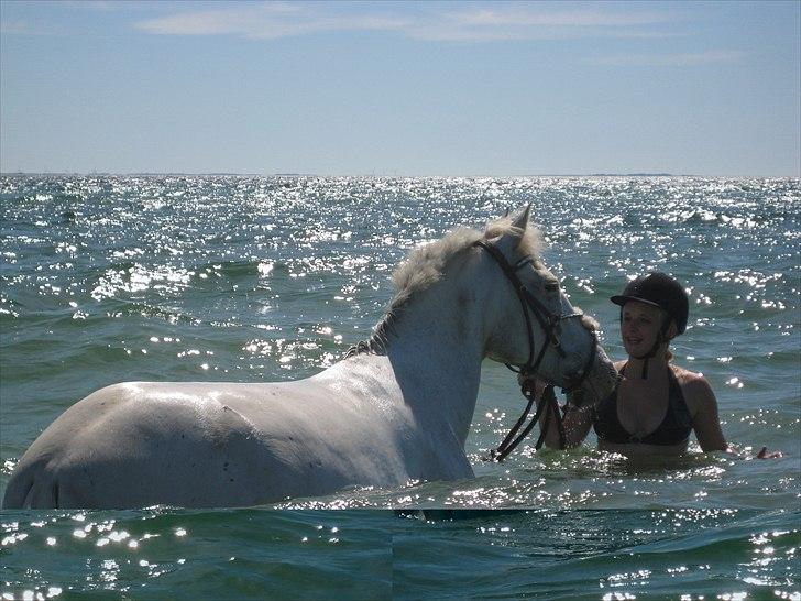 Knabstrupper Simone af lundegaard *MySoulMate! <3* billede 4