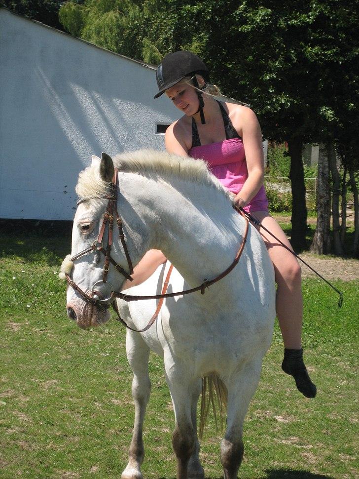 Knabstrupper Simone af lundegaard *MySoulMate! <3* billede 8