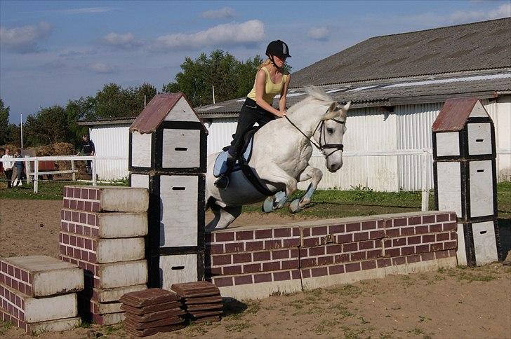 Connemara Nygaards Pirre billede 1