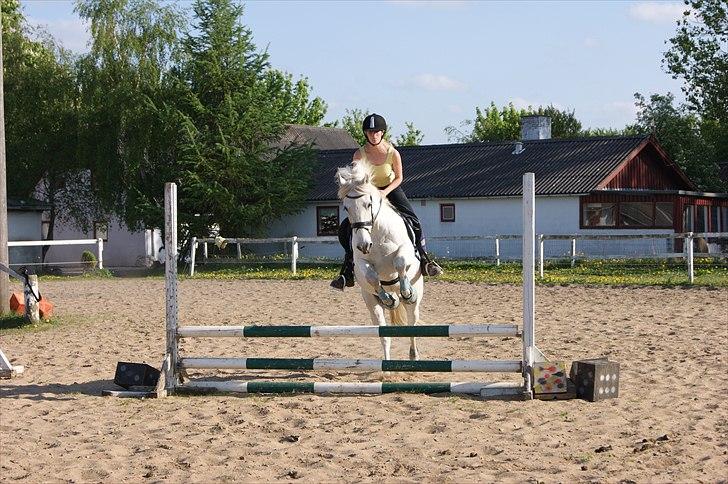 Connemara Nygaards Pirre billede 4