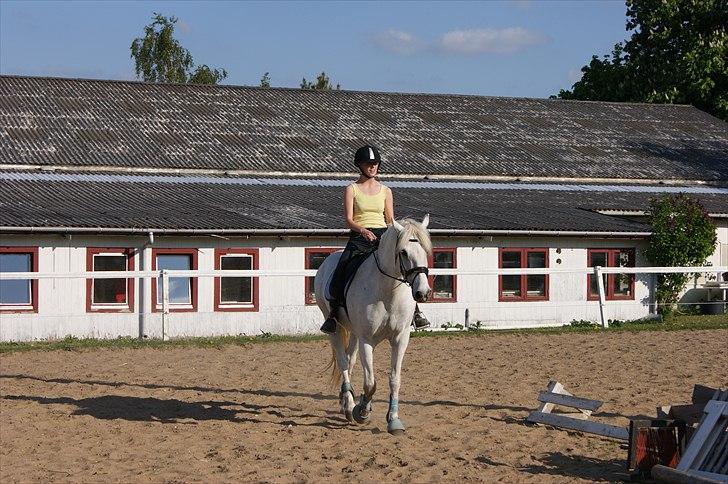 Connemara Nygaards Pirre billede 5