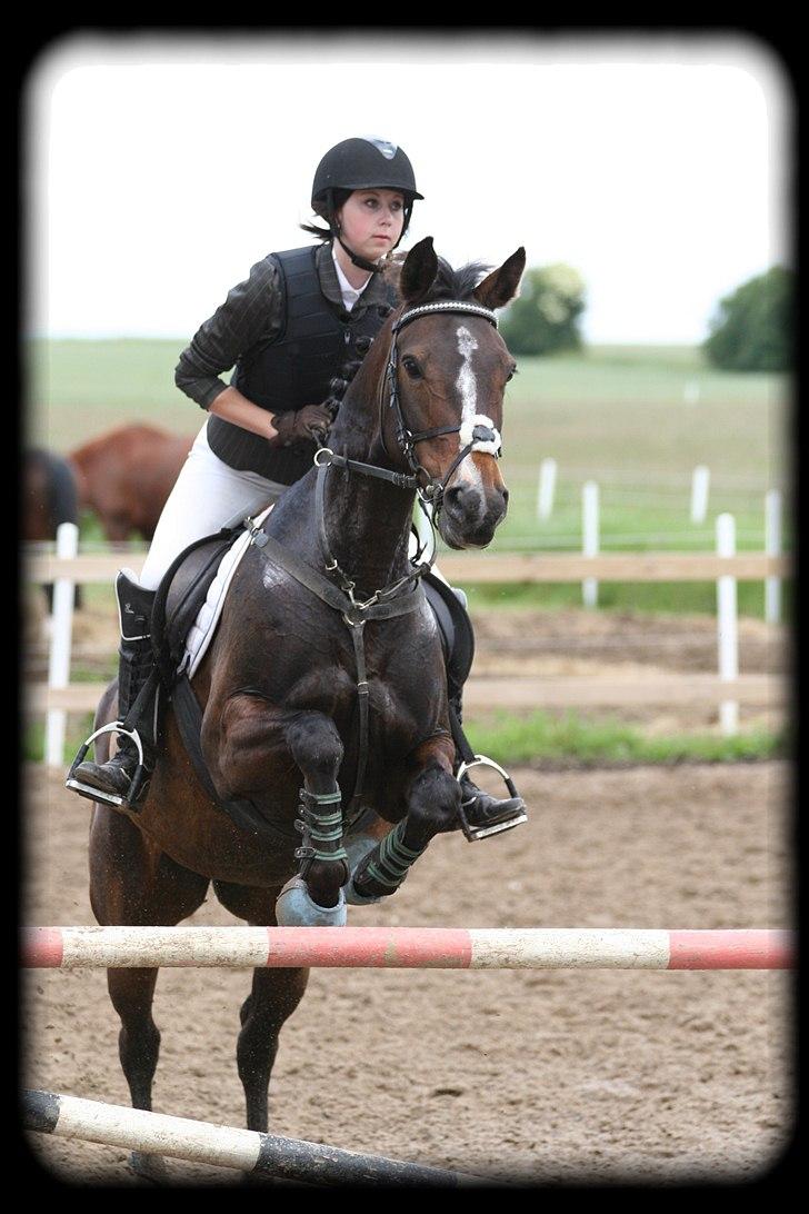 Anden særlig race Rosalin *Gl. part* - I love you not for what you are, but for what I am when I'm with you<3 billede 13