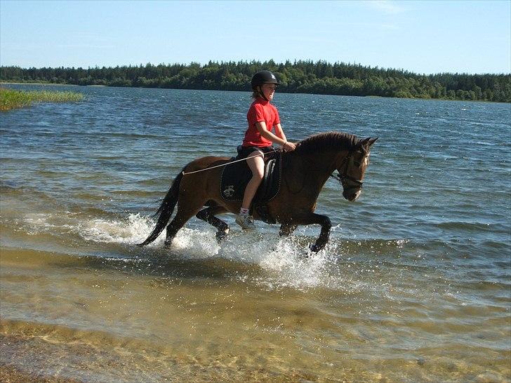 Anden særlig race Mitsy B pony - Mitsy og jeg i Hampen sø :-) billede 1