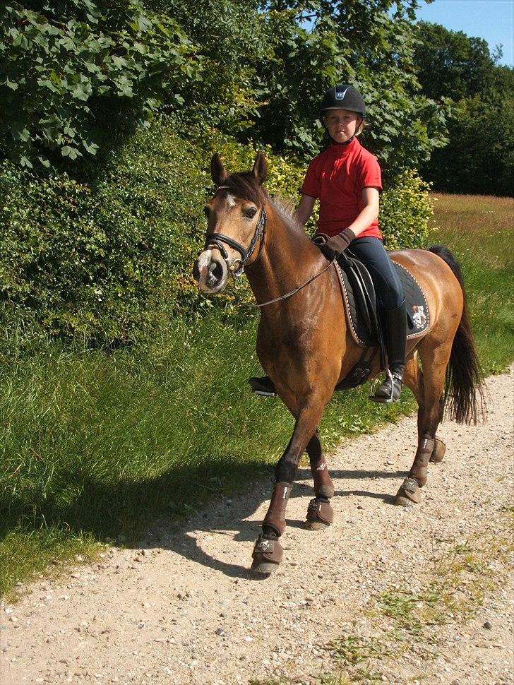 Anden særlig race Mitsy B pony - en glad Mitsy på skovtur :-) billede 13