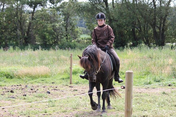 Islænder Fantur -Drømme-hesten-Savnet :'( billede 3