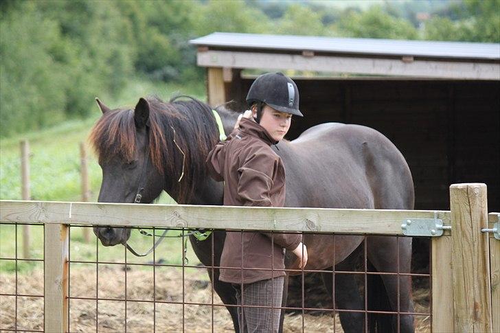 Islænder Fantur -Drømme-hesten-Savnet :'( billede 8
