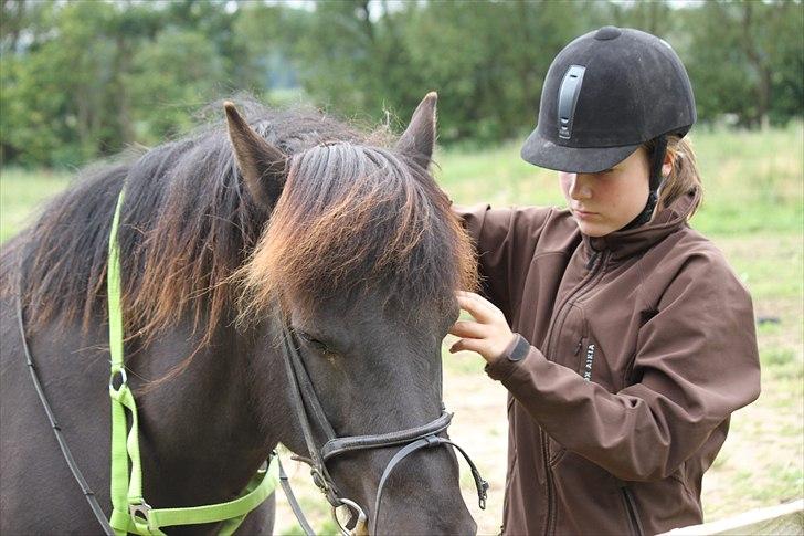 Islænder Fantur -Drømme-hesten-Savnet :'( billede 9
