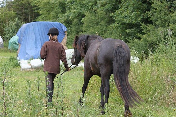 Islænder Fantur -Drømme-hesten-Savnet :'( - Så går vi ud af profilen håber i kunne lide den? :) billede 18