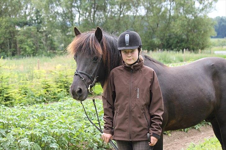 Islænder Fantur -Drømme-hesten-Savnet :'( - Velkommen til Fanturs profil!<3 billede 1