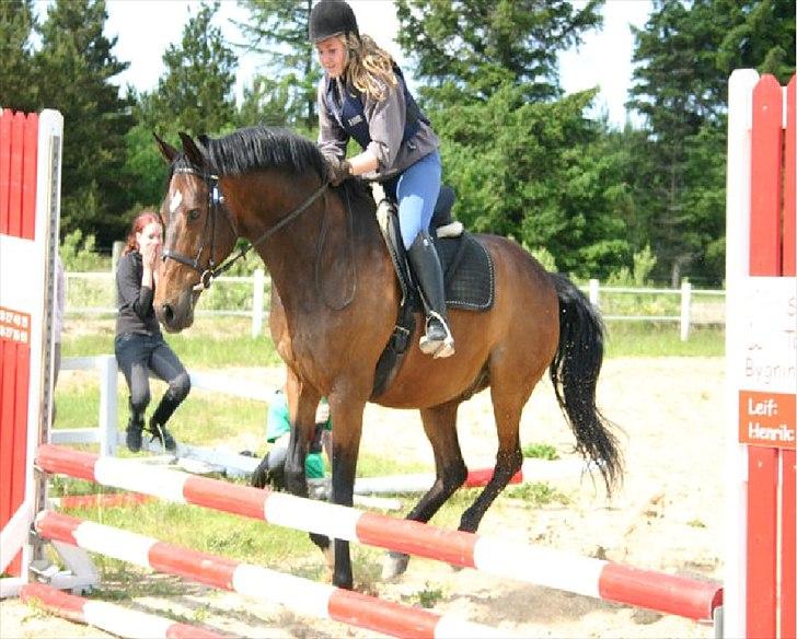 Dansk Varmblod Kasmo |MY EVERYTHING| - var lige ved og gå galt men det gik godt!<3 billede 9