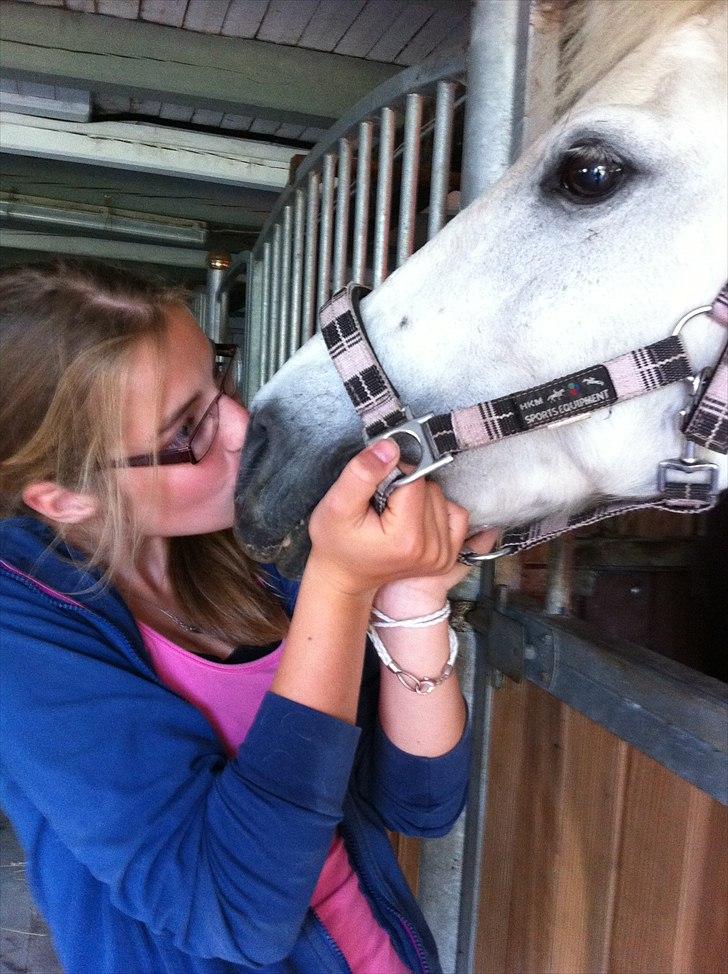 Anden særlig race Bandit "den elskede" :D <3 - Billed 9 Bandit Jeg EEELSKER Dig ;*<3 billede 9