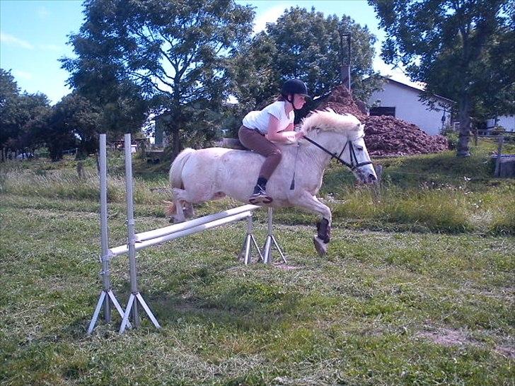 Anden særlig race PIPPI.. Sov sødt prinsesse - Jeg var ude og spring, vi sprang 90cm. stjerne!<3 billede 5