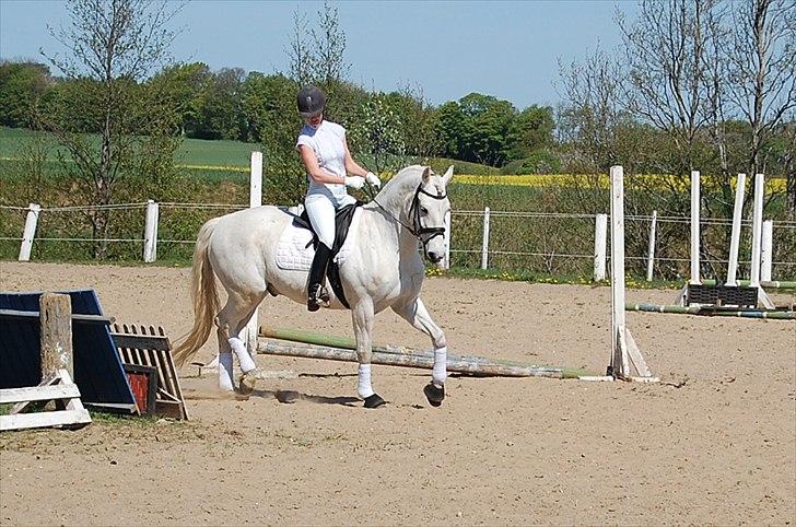 Connemara Nygaards Pirre billede 9