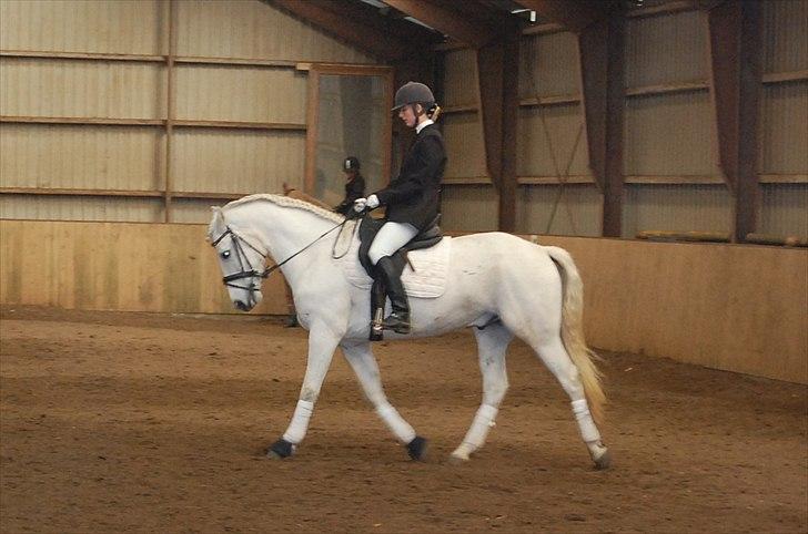 Connemara Nygaards Pirre billede 11