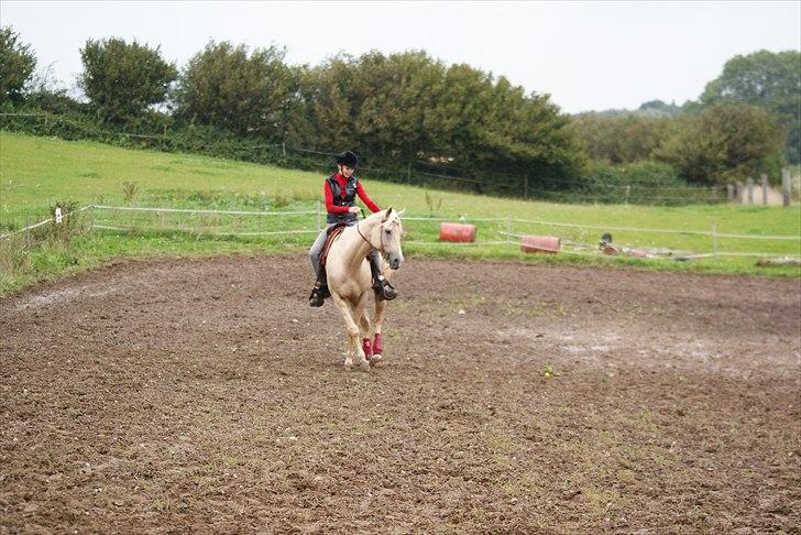 Quarter : RF Frank Olena | ~ Min Klumpe Dumpe ~ billede 18