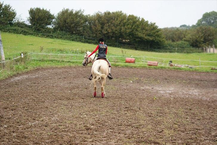 Quarter : RF Frank Olena | ~ Min Klumpe Dumpe ~ billede 19