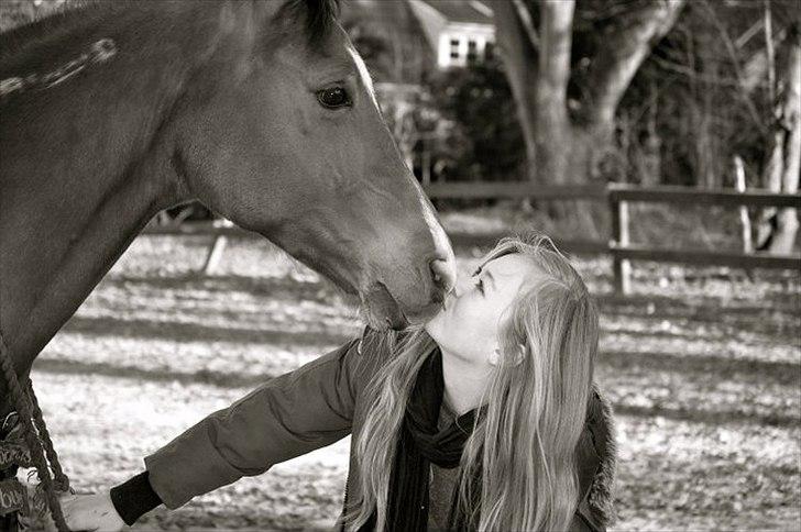 Arabisk fuldblod (OX) Markus OX *SOLGT* Soulmate - 1 thing, 2 say, 3 words, 4 you!

I LOVE YOU!

efterår 2010 billede 2