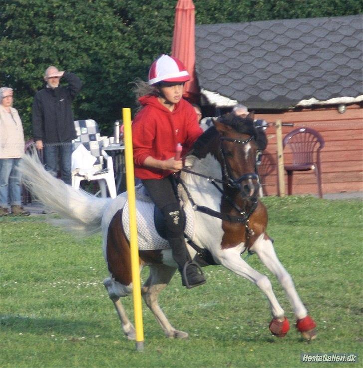 Anden særlig race Revy<3 - Sankt hans mester 2011 med Marlene foto Heidi billede 16