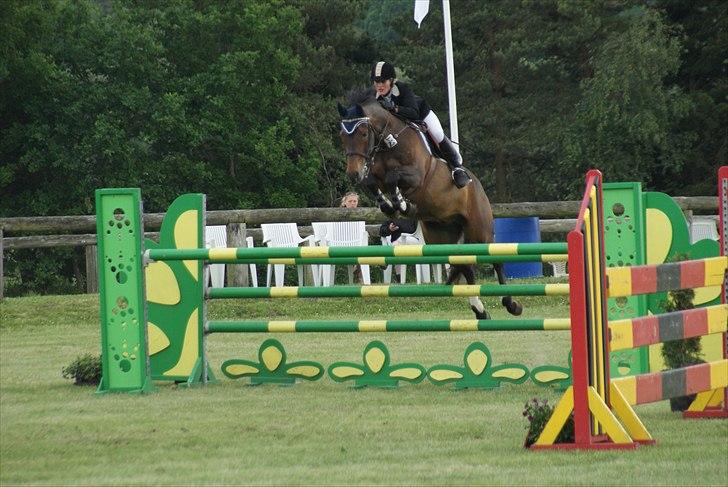 Tysk Oldenburger Leonardo 381 - Leo i MB til LM cup på Kallehavegaard. billede 14