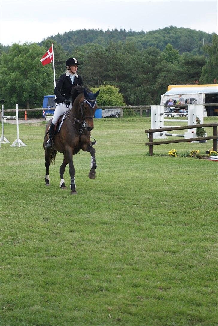 Tysk Oldenburger Leonardo 381 - Leo i MB til LM cup på Kallehavegaard. billede 15