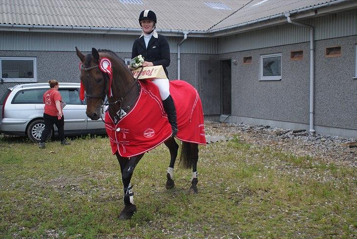 Tysk Oldenburger Leonardo 381 - Vinder af distriksmesterskab for seniorer 2011 billede 18