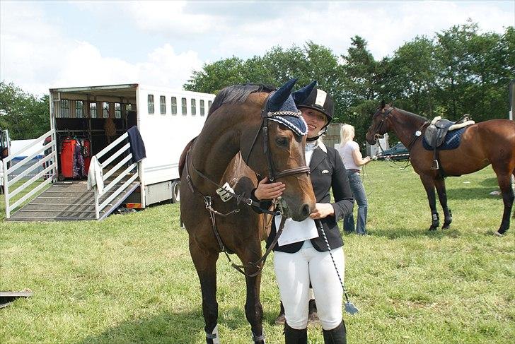 Tysk Oldenburger Leonardo 381 - Vinder af 2. kval i MB til LM cup 2011 billede 19