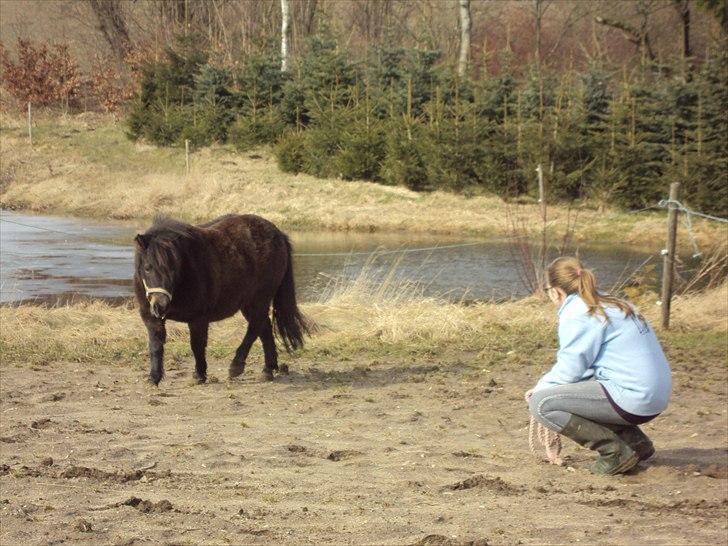 Anden særlig race Toffee R.I.P. - Så nuttet! billede 8