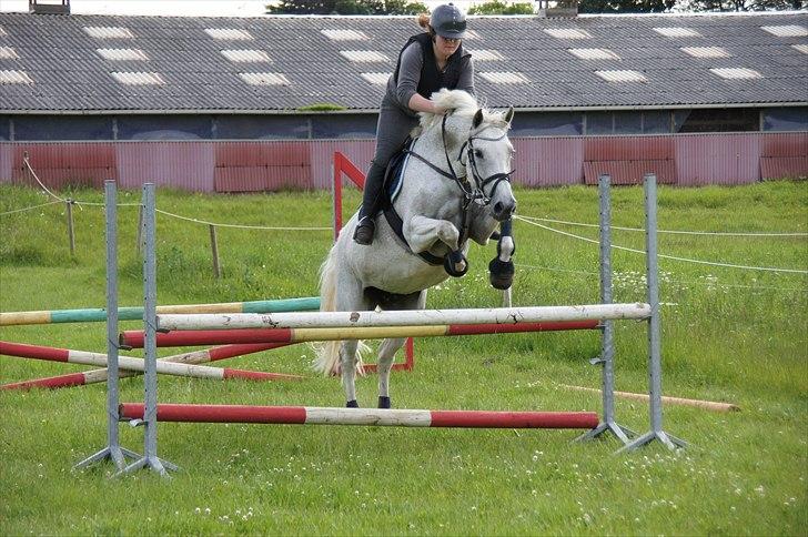 Holstener Orlandas girl billede 1