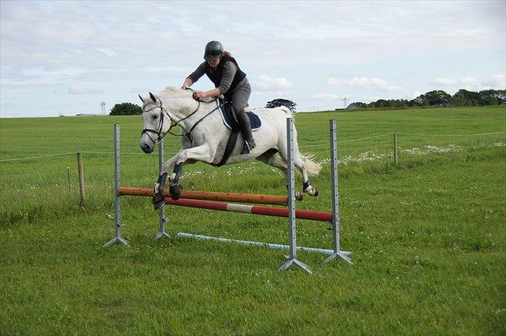 Holstener Orlandas girl billede 2