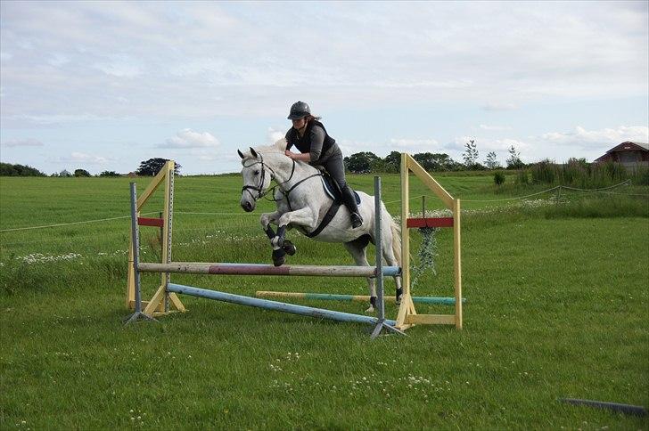 Holstener Orlandas girl billede 3