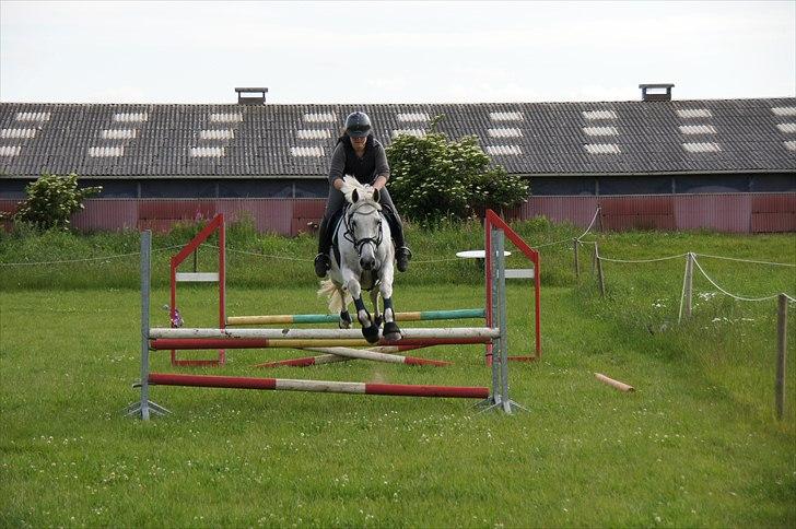 Holstener Orlandas girl billede 5