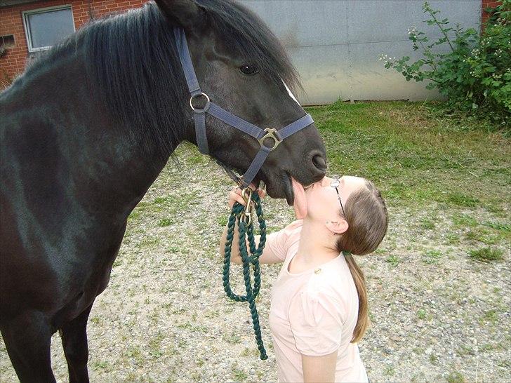 Anden særlig race Flying Paplo(Papsi)MIIN<3 SOLGT - et ordentligt tungekys ;) (var ikke meningen) xD billede 14