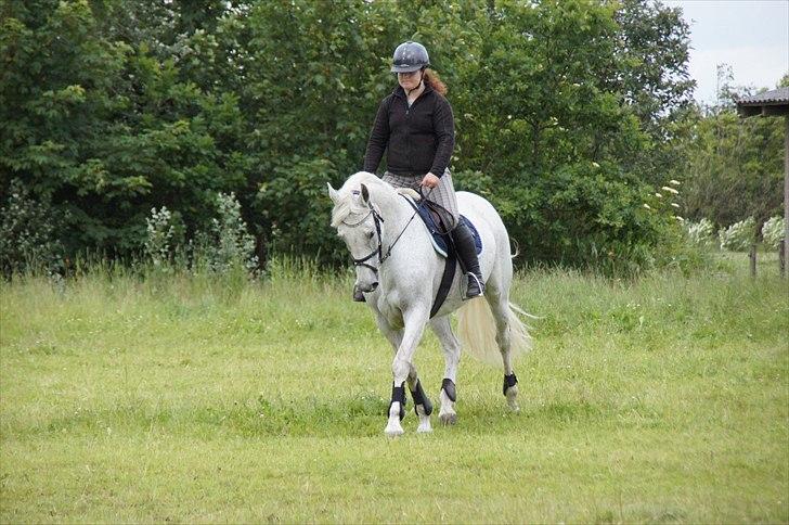 Holstener Orlandas girl billede 10