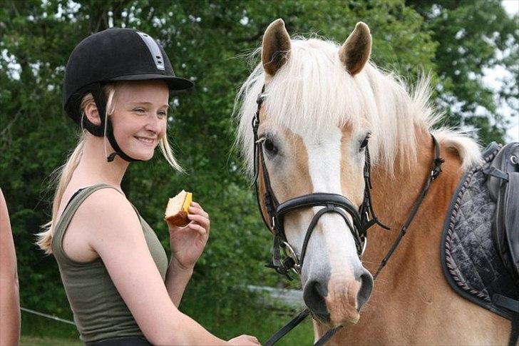 Haflinger Nocturne Lundgaard | - Ynglingsbillede! billede 11