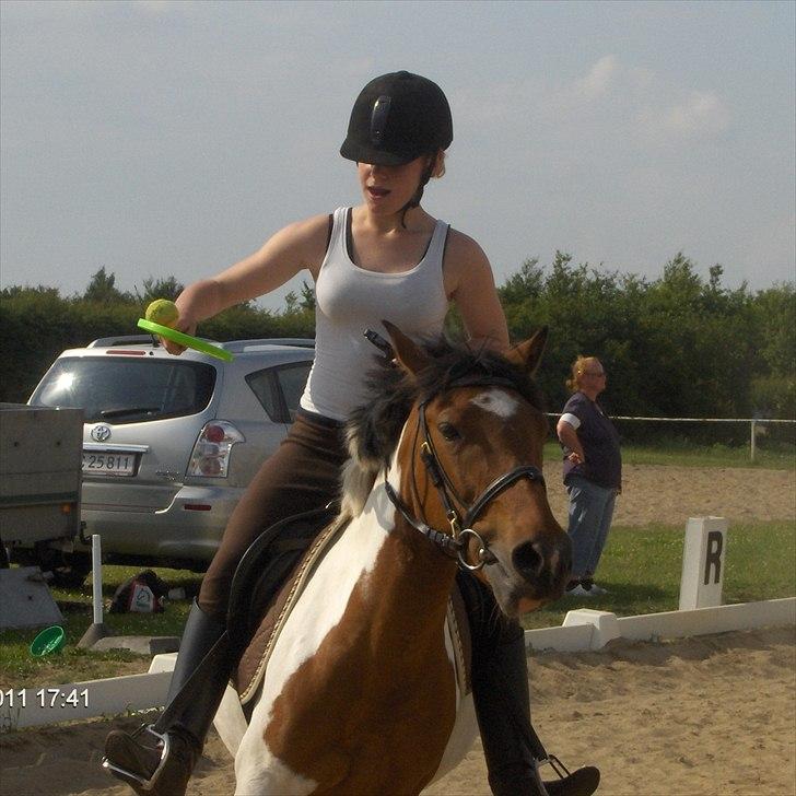 Pinto Mille - Til ponygames træning:) Foto: Jane billede 10