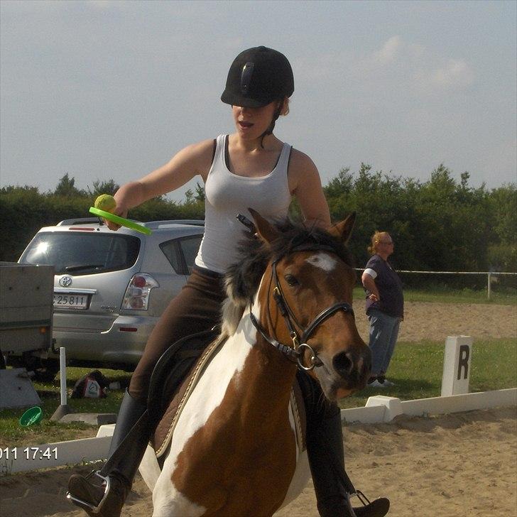 Pinto Mille - Til ponygames træning:) Foto: Jane billede 10