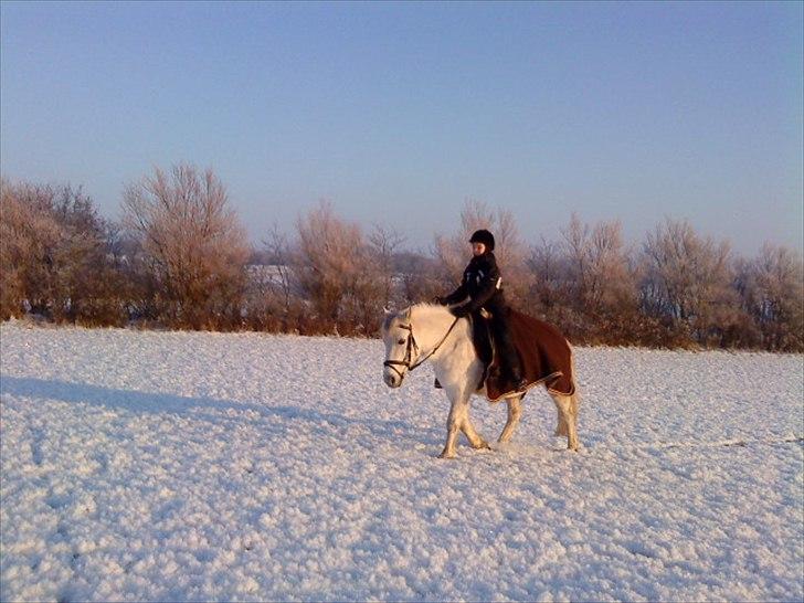 Connemara Moon Leight - På tur i seen <3 billede 7