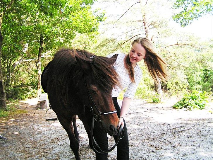 Islænder Snugg fra Viegaarden - 1. Snugg & jeg på Lovisehøj. Billede: Malene Kidmose(: billede 1