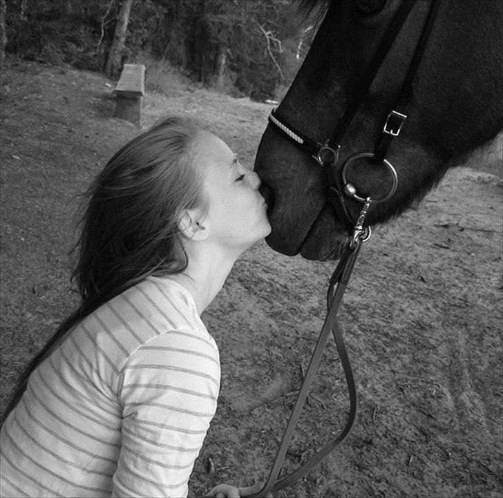 Islænder Snugg fra Viegaarden - 3. Kys til min prinsesse! billede 3