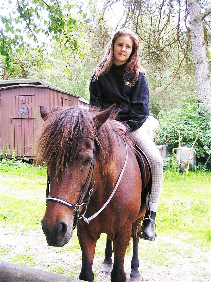 Islænder Snugg fra Viegaarden - 8. Snugg og søde Mathilde hygger(: Billede: Mig. billede 8